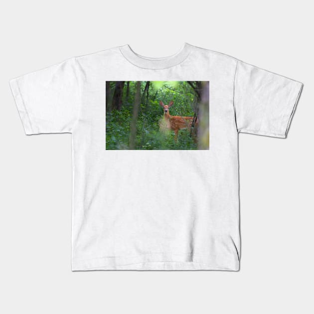 Forest Fawn - White-tailed deer Kids T-Shirt by Jim Cumming